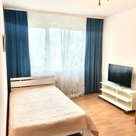 Messe 3rooms And Balcony 公寓 *